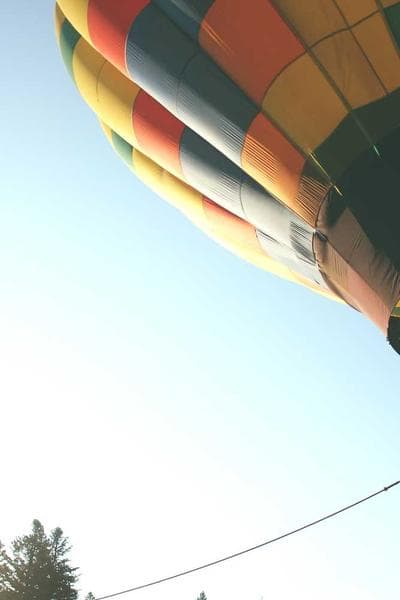 Poster for Hidden Bloom