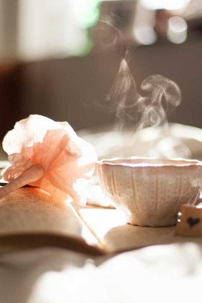 Poster for Luminous Forest